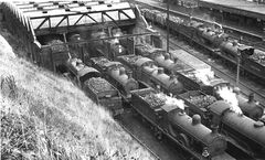 West Marina Station6